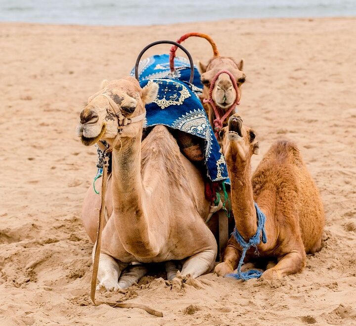 Morocco adventure holidays