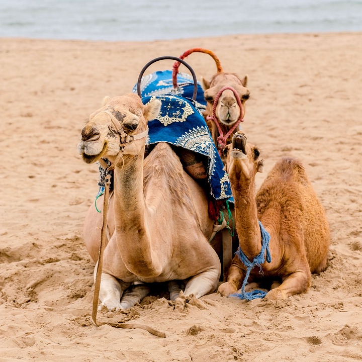 Morocco adventure holidays