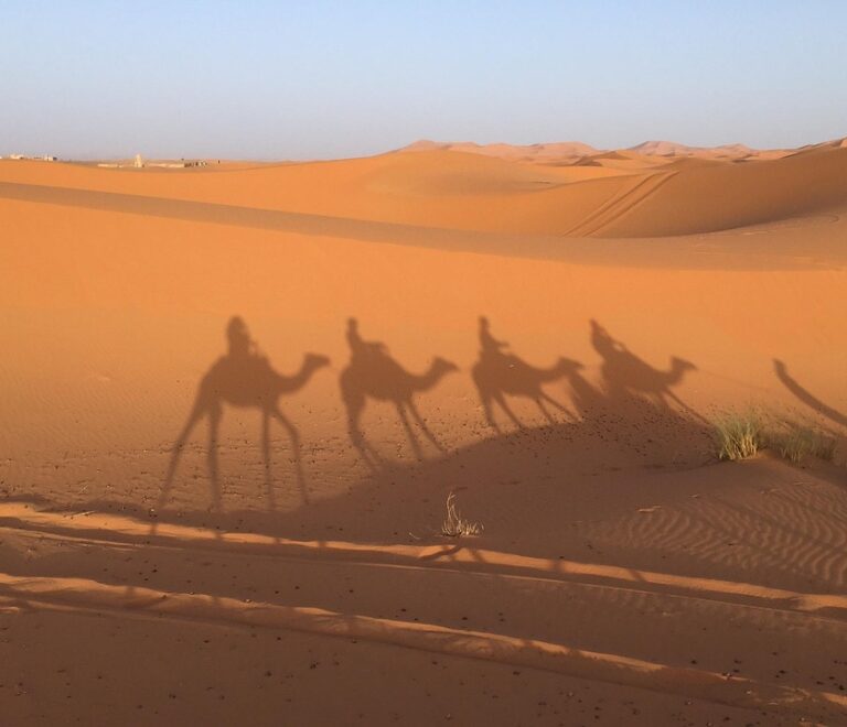 Morocco desert trips