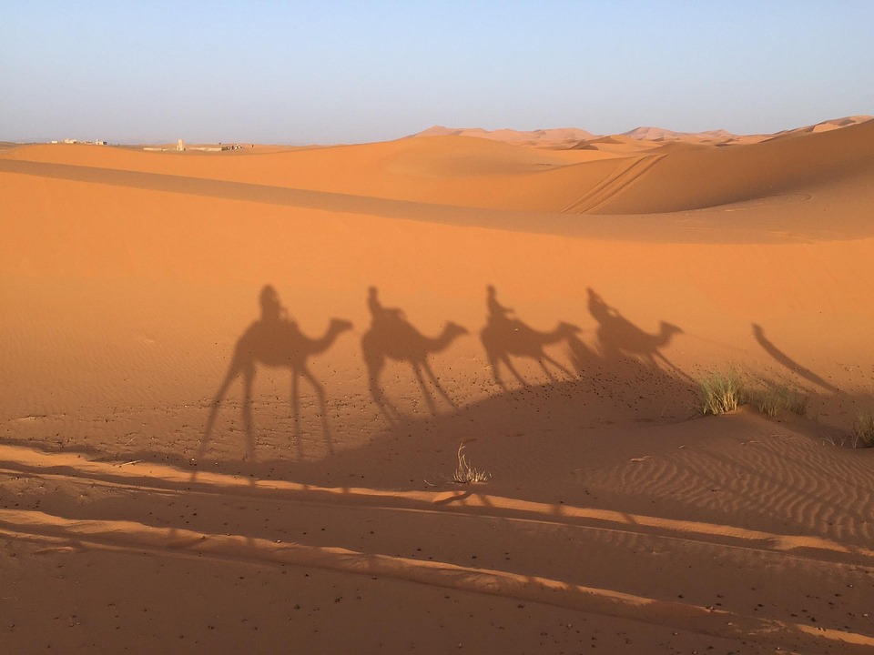 Morocco desert trips