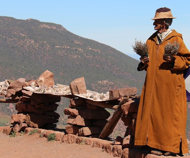 Morocco desert trips