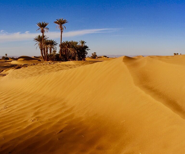 Morocco desert trips