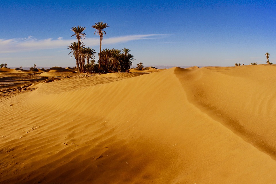 Morocco desert trips