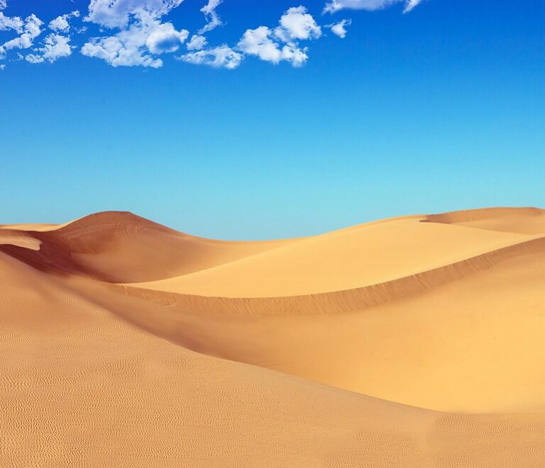 Morocco desert trips