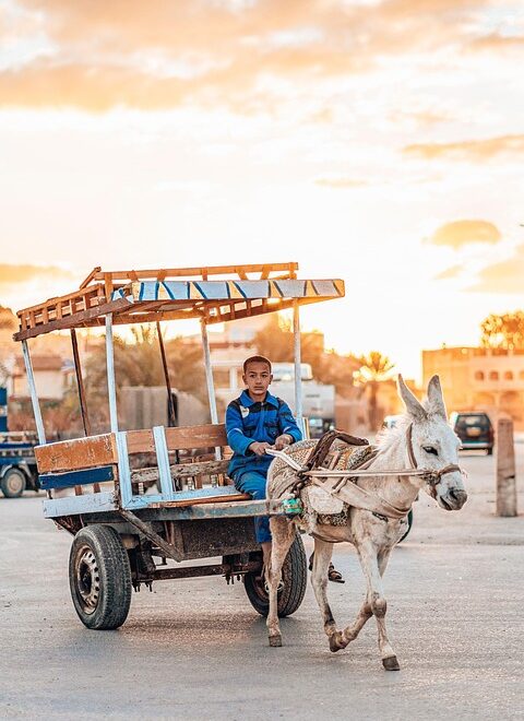Local experiences Morocco