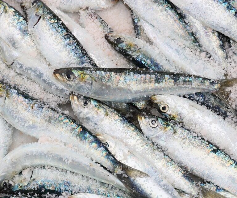 Local experiences Morocco