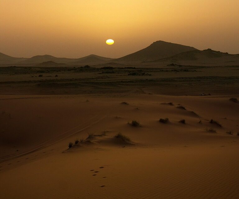 Morocco desert trips