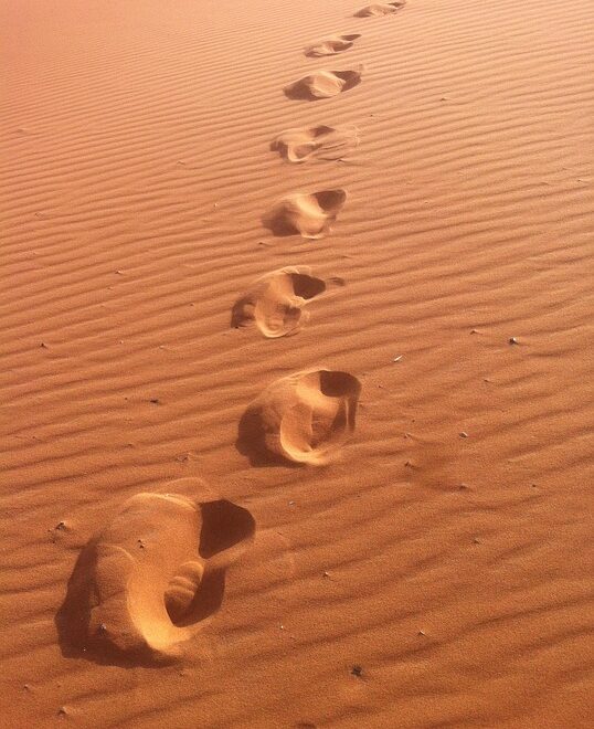 Morocco desert trips