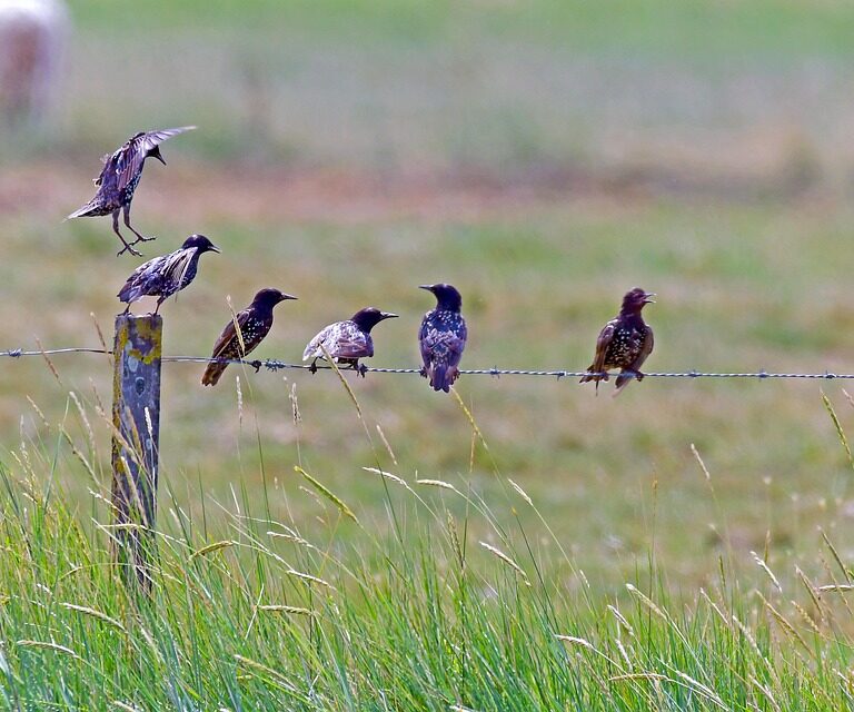 Best places to visit Morocco